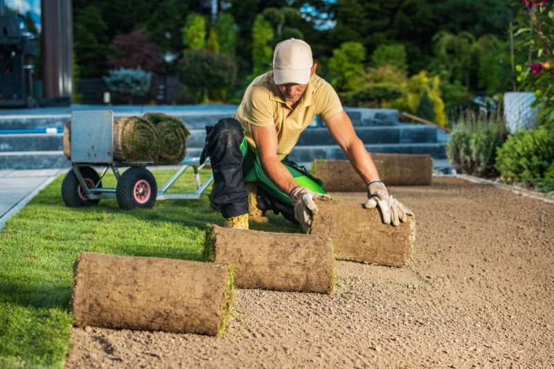 Landscaping and Lawn Installation